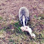 “La meravigliosa biodiversità del Salento”