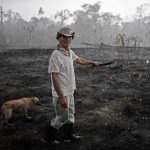 ‘L’ERADICAZIONE INGIUSTIFICATA DEGLI ULIVI IN PUGLIA E’ COME LA DEFORESTAZIONE CRIMINALE IN AMAZZONIA, EMILIANO E’ UGUALE A BOLSONARO’. UN COMUNICATO… INCENDIARIO DEL PARTITO COMUNISTA PUGLIESE
