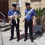 SCARAVENTATO IN STRADA DA UN’AUTO IN CORSA, METICCIO SALVATO DAI CARABINIERI: ORA STA BENE