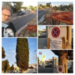 LA STRANA “RIQUALIFICAZIONE URBANA” A LECCE DEL SINDACO CARLO SALVEMINI E DEL SUO VICESINDACO ALESSANDRO DELLI NOCI: TAGLIATI QUARANTADUE ALBERI DI ALTO FUSTO. IL CONSIGLIERE COMUNALE DEL M5S ARTURO BAGLIVO VUOLE ANDARE FINO IN FONDO: “Adesso basta con gli abbattimenti ingiustificati”