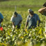 ‘LA PIAGA DELLO SFRUTTAMENTO DEL LAVORO CAUSATA DAL SISTEMA ECONOMICO CAPITALISTICO DEL PROFITTO’