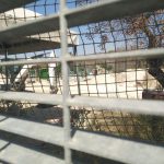 L’AMMINISTRAZIONE COMUNALE DI LECCE CHIEDERA’ I DANNI MORALI E MATERIALI A TAP AL PROCESSO CHE INIZIA VENERDI’ 11 PER LA COSTRUZIONE DEL GASDOTTO