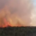 MINISTRO PER L’AMBIENTE, PRESIDENTE REGIONE PUGLIA, PRESIDENTE PROVINCIA DI LECCE, IL SALENTO E’ DEVASTATO DAGLI INCENDI DOLOSI, A RITMO CONTINUO, SENZA CHE VOI RIUSCIATE A PREVENIRE, CONTRASTARE E REPRIMERE QUESTA PIAGA, IN UN TERRITORIO CHE VANTA A PARTE IL TRISTE RECORD NAZIONALE DELLA DESERTIFICAZIONE