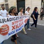 LA POLEMICA / FORUM AMBIENTE E SALUTE. E DELUSIONE / ANCHE QUELLI DI emergenzaclimatica.it SONO ‘perplessi’ SULLA LETTERA APERTA DI GIOVANNI SECLI’. PER leccecronaca.it LA LORO REPLICA. COSTRUTTIVA