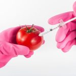 “Il governo si accinge a introdurre gli organismi geneticamente modificati in Italia”. MA C’E’ CHI DICE NO
