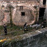 DIARIO DEL GIORNO / MARTEDI’ 25 FEBBRAIO 2025