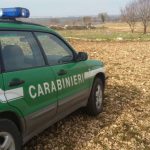 RIFIUTI PERICOLOSI ABBANDONATI A ORIA