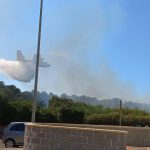 BRUCIA LA PINETA DI SAN BASILIO A SAN FOCA