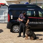 FAIDER, CANE-CARABINIERE DAL FIUTO INFALLIBILE