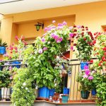 MODA / MODE – FIORISCONO  I…PETTEGOLEZZI