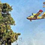 EMERGENZA INCENDI SENZA FINE NEL SALENTO