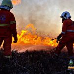 L’EMERGENZA INCENDI NEL SALENTO NON FINISCE MAI