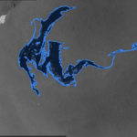 NUOVO PERICOLO PER IL MARTORIATO MEDITERRANEO