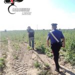 CONTROLLI DEI CARABINIERI IN VENTISETTE AZIENDE