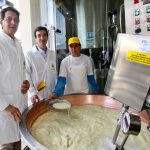 DIRITTO DI REPLICA / IL CONSORZIO TUTELA GRANA PADANO DOP E’ IMPEGNATO A TUTELARE ANCHE IL BENESSERE ANIMALE NEI CASEIFICI ADERENTI ALLA SUA FILIERA ”che rendono grande questa eccellenza italiana”