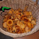 MEGLIO UNA MULTA, CHE UN’INTOSSICAZIONE ALIMENTARE
