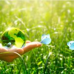 SOLO UNA RICONVERSIONE ECOLOGICA PUO’ SALVARCI DAL BARATRO