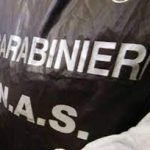 INTERVENTO DEI CARABINIERI IN UN’AZIENDA AVICOLA
