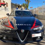 ANZIANO AGRICOLTORE MUORE TRAVOLTO CON LA SUA APE