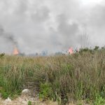 PIROMANI IN AZIONE A RIDOSSO DI PARCO RAUCCIO
