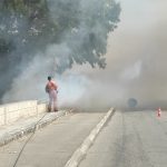 SALENTO FUOCO E FUMO, A leccecronaca.it PARLANO GLI AGRICOLTORI CHE CREMANO GLI ULIVI LASCIATI MORIRE