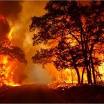 L’INCHIESTA / SALENTO FUOCO E FUMO