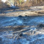 SALENTO FUOCO E FUMO / IN FIAMME SETTE ETTARI