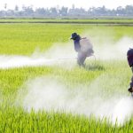 NECESSARIA TOLLERANZA ZERO SUI PESTICIDI