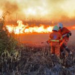 SALENTO FUOCO E FUMO /  LA PUGLIA BRUCIA. INCIDENTE SULLA STATALE, UN CAMION SI RIBALTA