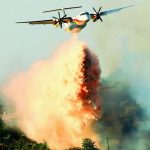 SALENTO FUOCO E FUMO / BRUCIANO I BOSCHI NELLE MURGE, INCENDI ANCHE A BARI E FOGGIA