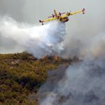 SALENTO FUOCO E FUMO / BRUCIA UN OLIVETO