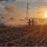 SALENTO FUOCO E FUMO / ROGHI DA LEUCA A OTRANTO, DA GALLIPOLI A PORTO CESAREO. VASTI INCENDI ANCHE NEL TARANTINO. LA TRAGEDIA CONTINUA ANCORA