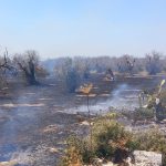 SALENTO FUOCO E FUMO / ANCORA ROGHI NEL TARANTINO, INCENDI DIVAMPANO A GALATONE E A PRESICCE