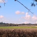 ARRESTATO IL SINDACO DI ROCCAFORZATA