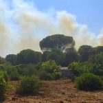 SALENTO FUOCO E FUMO / SI AGGRAVA L’EMERGENZA