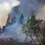 ANCORA INCENDI IN SALENTO