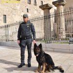 CONTROLLI ANTIDROGA DELLA GUARDIA DI FINANZA