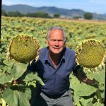 AGRICOLTURA CONSERVATIVA PER RIVITALIZZARE IL TERRENO. CONVEGNO A UGENTO SABATO 12
