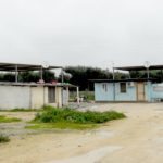 LATITANTE CATTURATO AL CAMPO SOSTA PANAREO