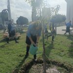 LA GIORNATA DELL’ALBERO A LECCE CITTA’