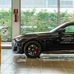 MALDARIZZI AUTOMOTIVE ILLUMINA L’ALBERO DI NATALE IN PIAZZA DELL’ODEGITRIA A BARI
