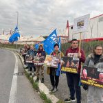 BASTA ANIMALI IMPRIGIONATI NEI CIRCHI! 