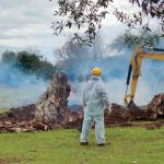 XYLELLA, LA FRODE CONTINUA