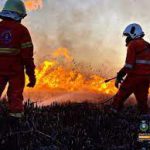 PIROMANE COLTO SUL FATTO A OTRANTO