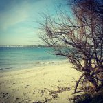 SALVATAGGIO IN MARE A TORRE LAPILLO