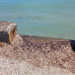 ‘PIU’ ATTENZIONE AL LUNGOMARE DI SAN CATALDO’