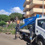 NUOVA STRAGE DI ALBERI IN VIA GENTILE