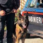 OPERAZIONI ANTIDROGA DEI CARABINIERI