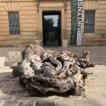 FESTA DEGLI ALBERI A LECCE AL MUSEO CASTROMEDIANO MARTEDI’ 21