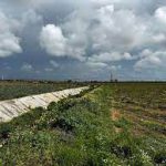 “Metanodotto Matagiola – Masseria Manampola”, INUTILE E DANNOSO